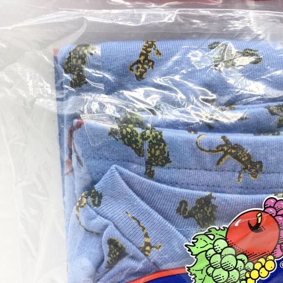 Vintage Walmart 2002 Fruit of the Loom Boys Size 10 Underwear Set Long Johns - Picture 3 of 9